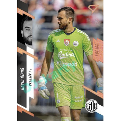 2023/24 Sportzoo Fortuna Liga 1. série #115 Dávid Šípoš Copper Sparks 1of100
