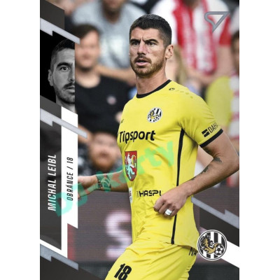 2023/24 Sportzoo Fortuna Liga 1. série #095 Michal Leibl