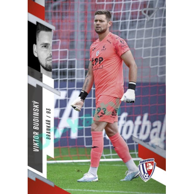 2023/24 Sportzoo Fortuna Liga 1. série #163 Viktor Budinský