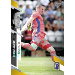 2023/24 Sportzoo Fortuna Liga 1. série #139 Tomáš Grigar