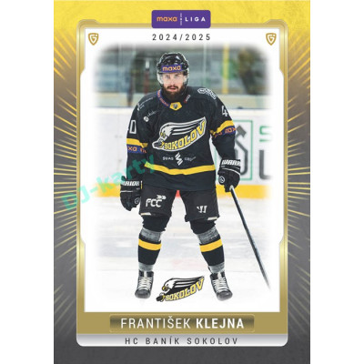 2024/25 Goal Cards Maxa liga 1. série #SOK-07 František Klejna