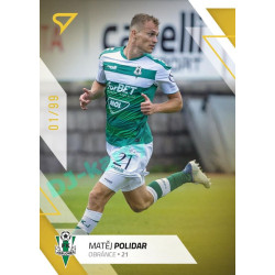 2022/23 Sportzoo Fortuna Liga 1. série #154 Matěj Polidar Gold xx/99