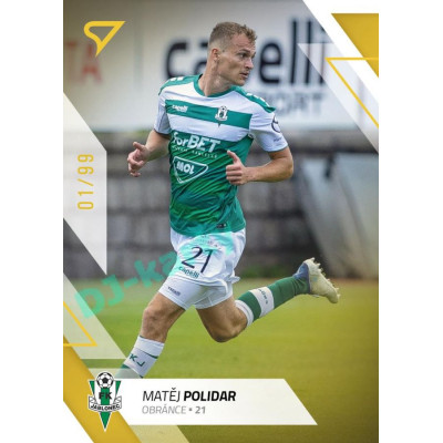 2022/23 Sportzoo Fortuna Liga 1. série #154 Matěj Polidar Gold xx/99