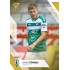 2022/23 Sportzoo Fortuna Liga 1. série #155 David Štěpánek Gold xx/99