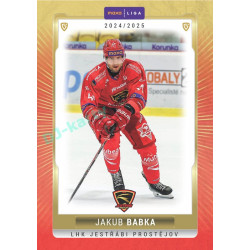 2024/25 Goal Cards Maxa liga 1. série #PRO-07 Jakub Babka