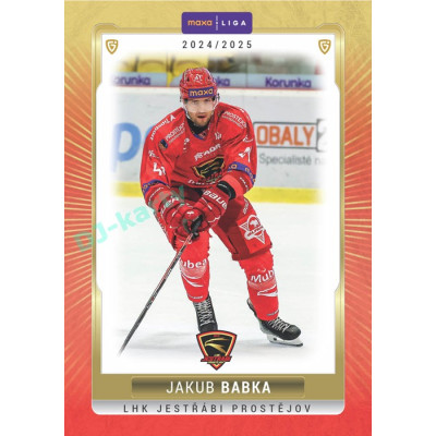 2024/25 Goal Cards Maxa liga 1. série #PRO-07 Jakub Babka