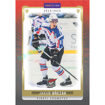 2024/25 Goal Cards Maxa liga 1. série #CHOM-04 Jakub Březák
