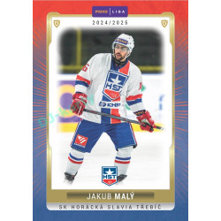 2024/25 Goal Cards Maxa liga 1. série #TRE-17 Jakub Malý