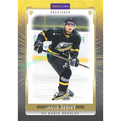 2024/25 Goal Cards Maxa liga 1. série #SOK-05 Jakub Šedivý