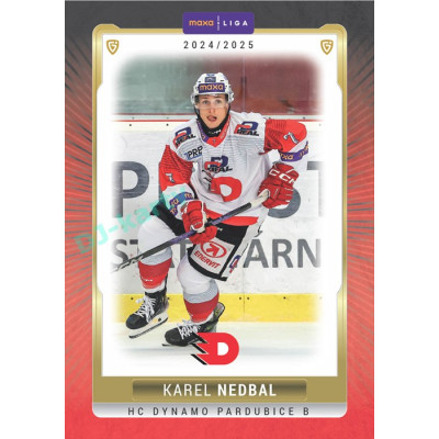 2024/25 Goal Cards Maxa liga 1. série #PCE-05 Karel Nedbal