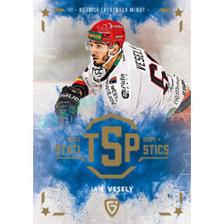 2024/25 Goal Cards Maxa liga 1. série #TOP-08 Jan Veselý Statistic