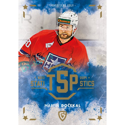 2024/25 Goal Cards Maxa liga 1. série #TOP-16 Martin Dočekal Statistic