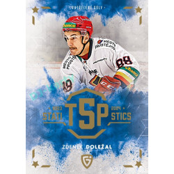 2024/25 Goal Cards Maxa liga 1. série #TOP-17 Zdeněk Doležal Statistic