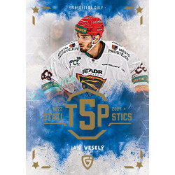 2024/25 Goal Cards Maxa liga 1. série #TOP-20 Jan Veselý Statistic