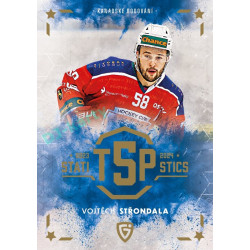 2024/25 Goal Cards Maxa liga 1. série #TOP-03 Vojtěch Střondala Statistic
