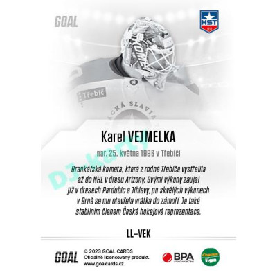 2023/24 Goal cards Chance Liga 1. série #LL-VEK Karel Vejmelka Legends