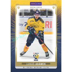2024/25 Goal Cards Maxa liga 1. série #ZLI-27 Lukáš Adámek