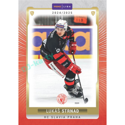 2024/25 Goal Cards Maxa liga 1. série #SLA-12 Lukáš Strnad