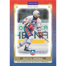 2024/25 Goal Cards Maxa liga 1. série #TRE-19 Martin Dočekal
