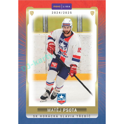 2024/25 Goal Cards Maxa liga 1. série #TRE-23 Matěj Psota