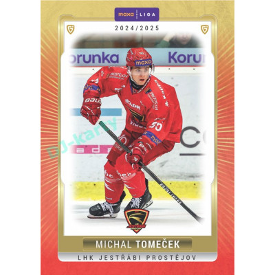 2024/25 Goal Cards Maxa liga 1. série #PRO-11 Michal Tomeček