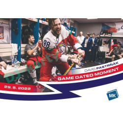 2023 MK reprezentace #136 David Pastrňák