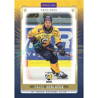 2024/25 Goal Cards Maxa liga 1. série #ZLI-18 Pavel Sedláček
