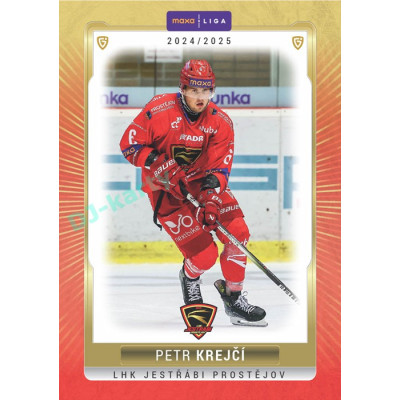 2024/25 Goal Cards Maxa liga 1. série #PRO-08 Petr Krejčí