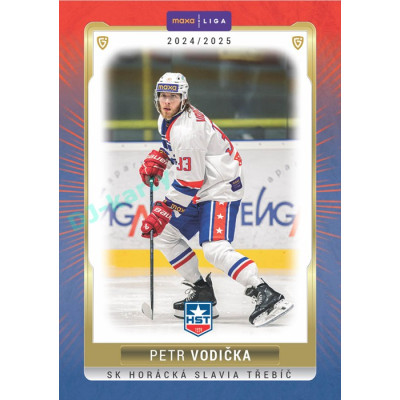 2024/25 Goal Cards Maxa liga 1. série #TRE-06 Petr Vodička
