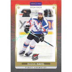 2024/25 Goal Cards Maxa liga 1. série #CHOM-10 Radek Havel