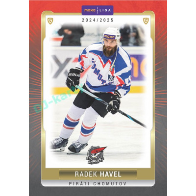 2024/25 Goal Cards Maxa liga 1. série #CHOM-10 Radek Havel