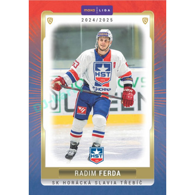 2024/25 Goal Cards Maxa liga 1. série #TRE-14 Radim Ferda