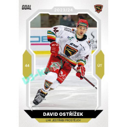 2023/24 Goal cards Chance Liga 2. série #254 David Ostřížek