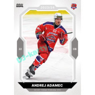 2023/24 Goal cards Chance Liga 2. série #259 Andrej Adamec