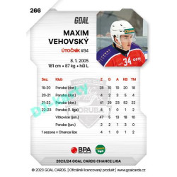 2023/24 Goal cards Chance Liga 2. série #266 Maxim Vehovský