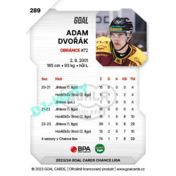 2023/24 Goal cards Chance Liga 2. série #289 Adam Dvořák