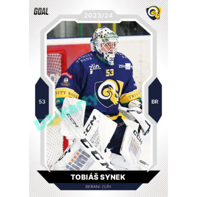 2023/24 Goal cards Chance Liga 2. série #202 Tobiáš Synek