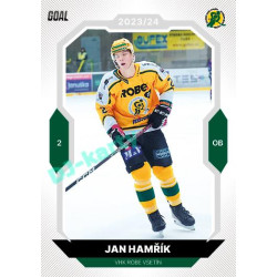 2023/24 Goal cards Chance Liga 2. série #219 Jan Hamřík