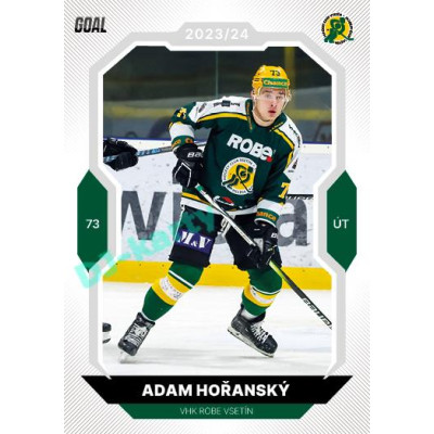 2023/24 Goal cards Chance Liga 2. série #226 Adam Hořanský