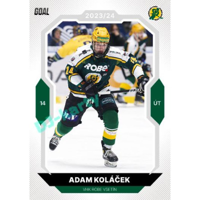 2023/24 Goal cards Chance Liga 2. série #229 Adam Koláček