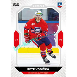 2023/24 Goal cards Chance Liga 2. série #235 Petr Vodička