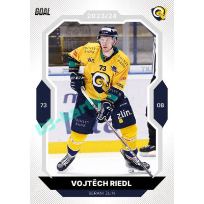 2023/24 Goal cards Chance Liga 2. série #204 Vojtěch Riedl