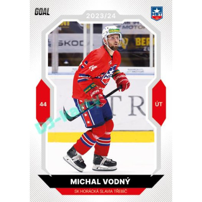 2023/24 Goal cards Chance Liga 2. série #243 Michal Vodný