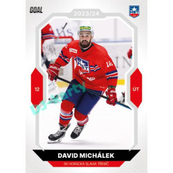 2023/24 Goal cards Chance Liga 2. série #244 David Michálek