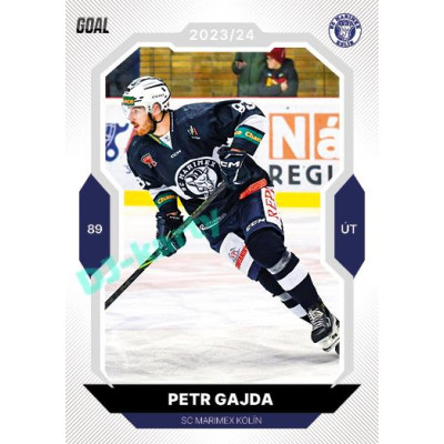 2023/24 Goal cards Chance Liga 2. série #355 Petr Gajda