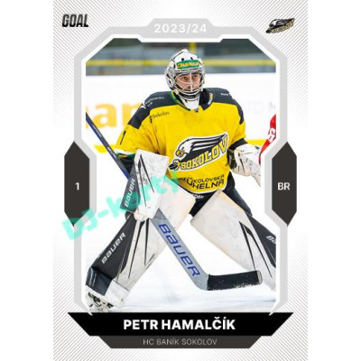 2023/24 Goal cards Chance Liga 2. série #358 Petr Hamalčík