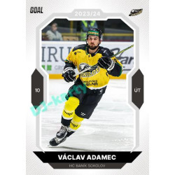 2023/24 Goal cards Chance Liga 2. série #362 Václav Adamec
