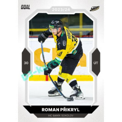 2023/24 Goal cards Chance Liga 2. série #363 Roman Přikryl