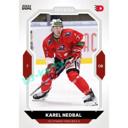 2023/24 Goal cards Chance Liga 2. série #376 Karel Nedbal
