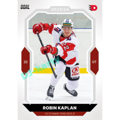 2023/24 Goal cards Chance Liga 2. série #381 Robin Kaplan